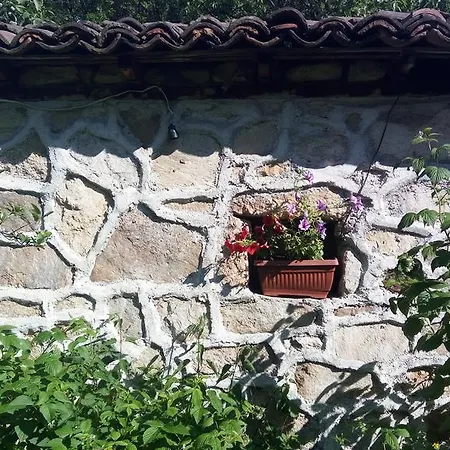 Ferienhaus Lyutovi *
